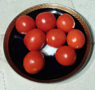 Семена томата Умелец