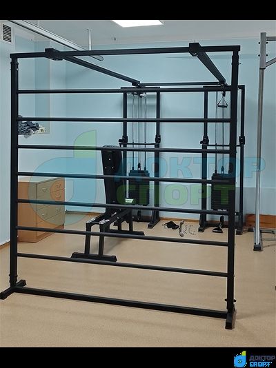 "Биотонус-2" 75/100 кг со шведской стенкой