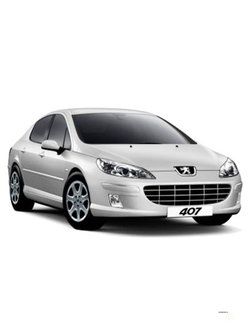 Коврики в салон Peugeot 407