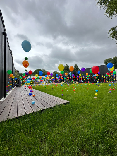 Шар цепочка с пузырями цвет ассорти (размер 12д)