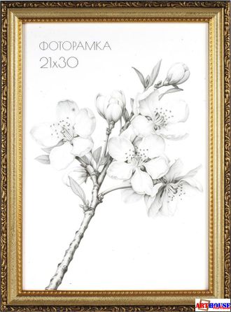 Фоторамка 21х30 663991
