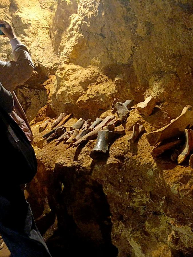 пещера Таврида, экскурсия