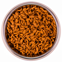 Monge Cat Speciality Line Monoprotein Adult (Монж) для взрослых кошек, из лосося 400 г