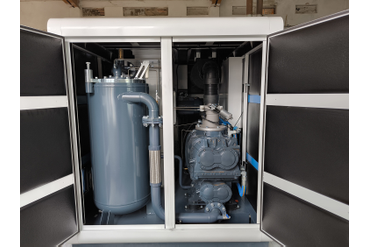 Компрессор DSV 110A-II