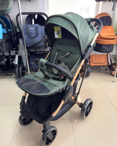 Детская коляска Luxmom T2 Зеленый