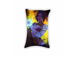 Подушки Borderlands, Бордерленд №40