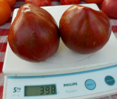 Томат Беркли Тай дай хаат (Berkeley Tie Dye Heart , USA)