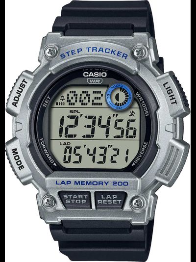 Часы Casio WS-2100H-1A2