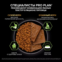 Pro Plan (ПроПлан) Sterilised 7+ Влажный корм для взрослых стерилизованных кошек и кастрированных котов, Паштет с индейкой, 75 г