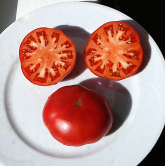 Семена томата Маеги