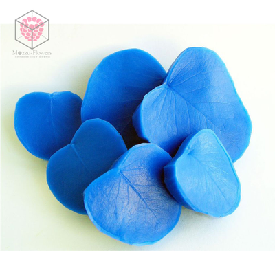 Вайнеры и каттеры "Лист эвкалипта"