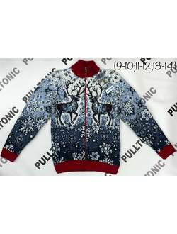 Подростковый свитер на молнии Олени 002