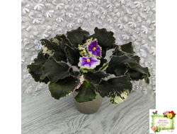 КО-Путеводная Нить (О. Кособокова) 2022 г.