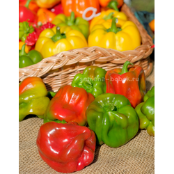Сладкий перец