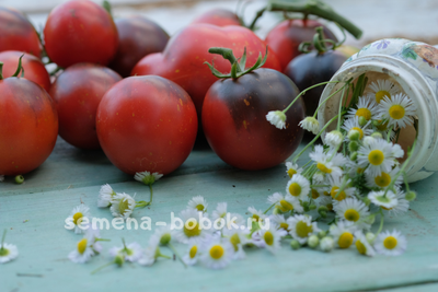 Томат Темная Галактика, 10 шт