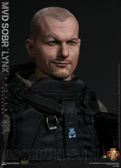 Голова (скульпт) 1/6 (78058) - DAMTOYS