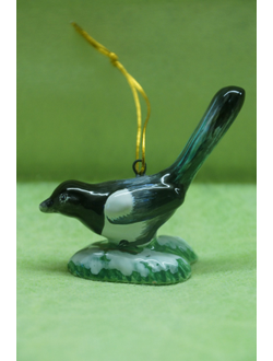 Сорока - Птицы России