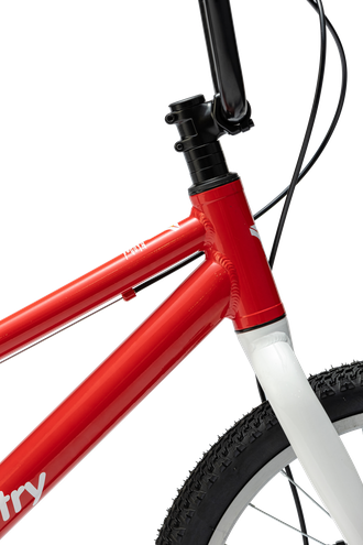 Велосипед TT231/ 1ск 20" фиолетовый рама 12"