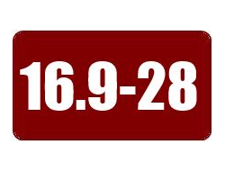 Шины 16.9-28