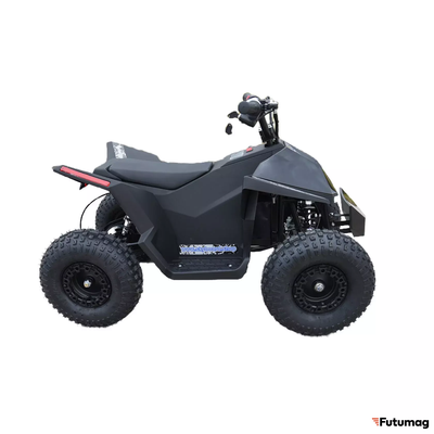 Электроквадроцикл Skyboard CyberTruck Sochi Power 1000W (дифференциальный редуктор)