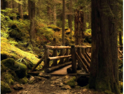 Купить греющую картину с фото мостик в лесу