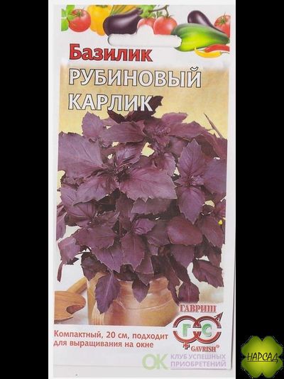 БАЗИЛИК "РУБИНОВЫЙ КАРЛИК"