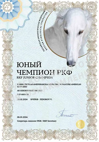 Юта. Диплом Юный Чемпион РКФ