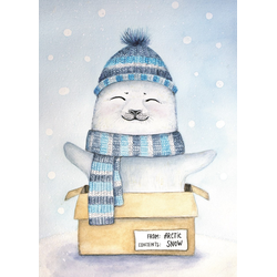 D0529 Снежное послание