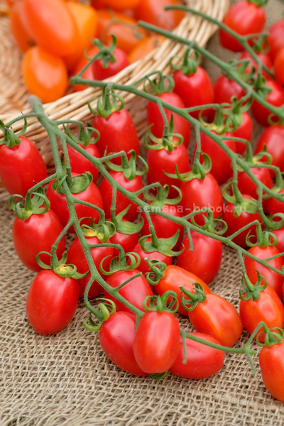 Томат Сызранские Дамские Пальчики, 10 шт.