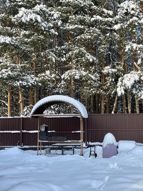 мануальная зона 1