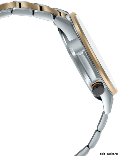 Часы Casio Edifice EFS-S590SG-1A