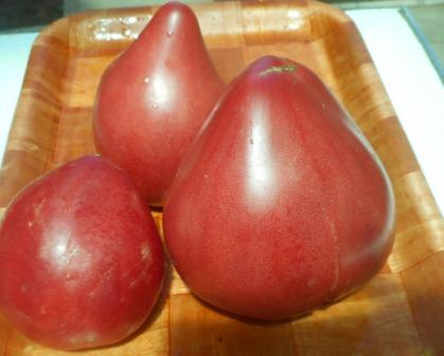 Томат Знаменитая клубника Миссис Шлаубах (Mrs. Schlaubaugh’s Famous Strawberry)