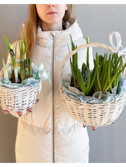 Spring baskets