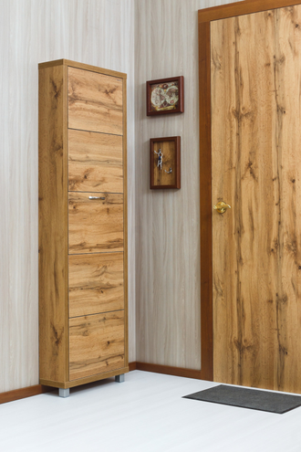 Обувница Айрон-5 Люкс (фасад ЛДСП)