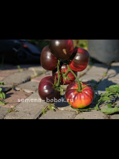 Томат Аметистовое сердце, 10 шт.