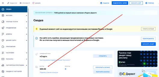 Проверка зачисления бонусов Nethouse