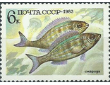 5347. Промысловые рыбы. Смарида
