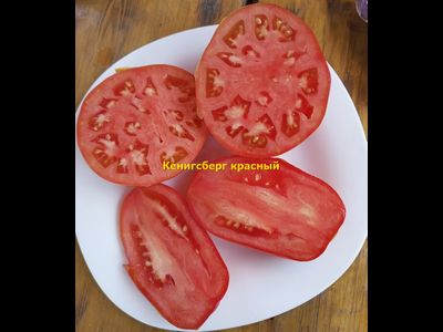 Томат Кенигсберг красный
