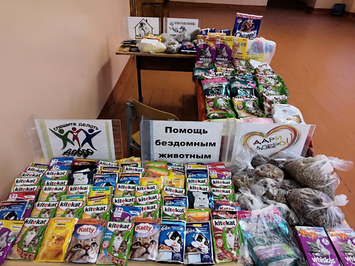 Сбор корма для животных. Объявление о сборе корма для животных. Акция по сбору корма для животных. Акция по сбору корма для бездомных животных. Сбор кормов для животных.