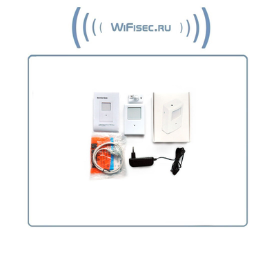 Охранная IP WiFi-LAN видеокамера с ночным видением и аудиоканалом (корпус ИК датчика), встроенный DVR. HD (Pro Ezcam)