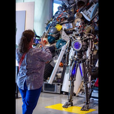 Экскурсия "Прогулка в парке птиц"