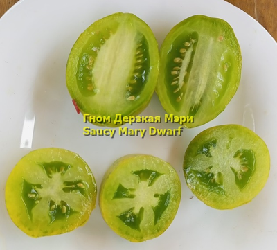 Томат Гном Дерзкая Мэри (Saucy Mary Dwarf) США