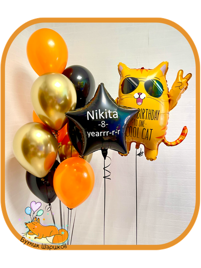 Рыжий кот и 9 Шариков на грузиках