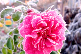 Тур поход на Новый год и Рождество в горный Крым!