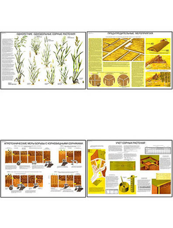 Плакаты ПРОФТЕХ "Сорные растения и меры борьбы с ними" (15 пл, винил, 70х100)
