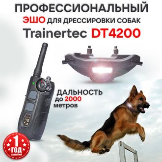 Электронный ошейник для собак DT4200