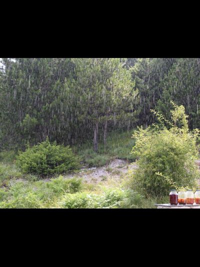 Купить греющую картину с фото репродукции варенье под дождем