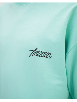 Футболка Anteater Phat Tee 499 Ментоловая