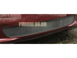 Защита радиатора Mercedec-Benz A-Klass II (W169) 2004-2007 black