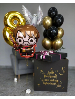 Коробка с шарами "Гарри волшебник" (12 шариков + 1 цифра)